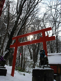大晦日の円山 2009/12/31 15:39:00