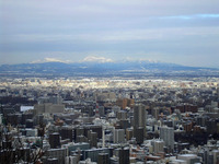 1月上旬の円山 2010/01/08 15:07:17
