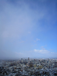 2月上旬の円山 2010/02/05 15:28:29