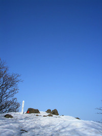 3月下旬の円山（2） 2010/03/24 15:31:20