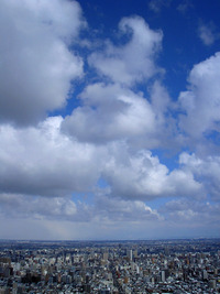 3月下旬の円山（4） 2010/03/29 15:33:12