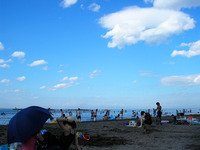 銭函で海水浴 2010/08/06 20:12:53