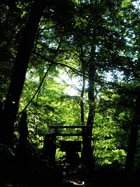 8月中旬の円山 2010/08/16 18:33:09