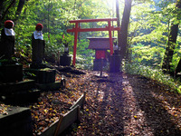 10月中旬の円山 2010/10/12 17:43:09