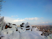 11月下旬の円山（2） 2010/11/29 15:34:46