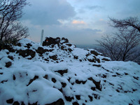 12月上旬の円山 2010/12/10 17:22:10