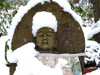 12月中旬の円山 2010/12/12 18:17:47