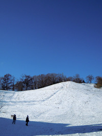 荒井山〜大倉山〜三角山 2010/12/17 17:36:00