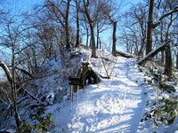 12月下旬の円山 2010/12/27 14:53:11