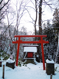 大晦日の円山 2010/12/31 19:22:15