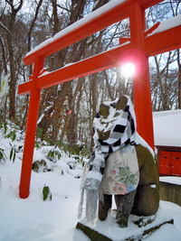 1月上旬の円山（2） 2011/01/07 15:41:54