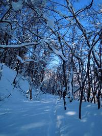 三角山と円山 2011/01/10 21:28:36