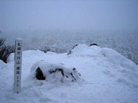 円山のクモガタガガンボとクマゲラ 2011/01/16 17:35:26