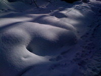 1月下旬の円山（2） 2011/01/30 15:35:37
