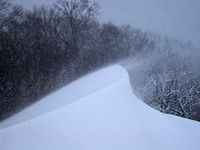 3月上旬の円山 2011/03/02 16:08:01
