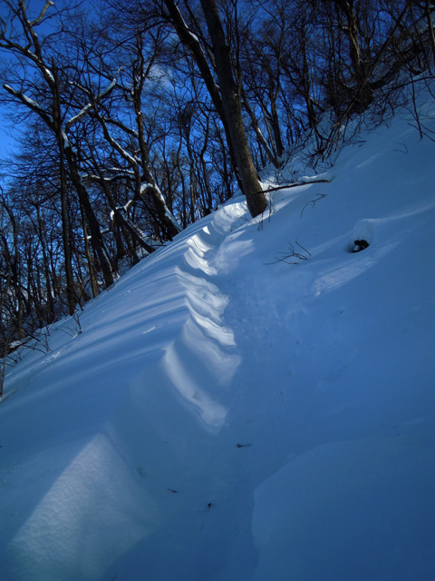 2月下旬の円山