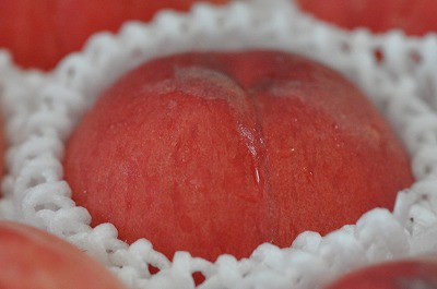 旬の果物：桃