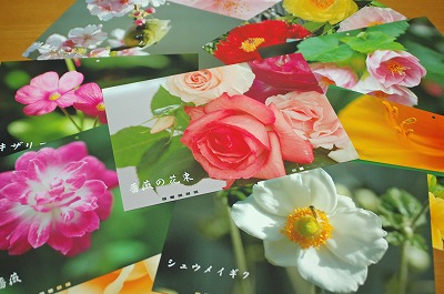 小さな庭の　“　花のカレンダー　”　完成～！