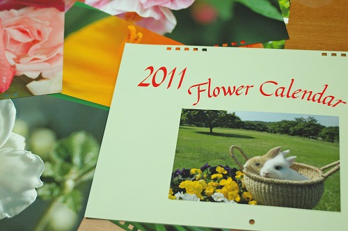 小さな庭の　“　花のカレンダー　”　完成～！