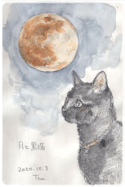 月と黒猫