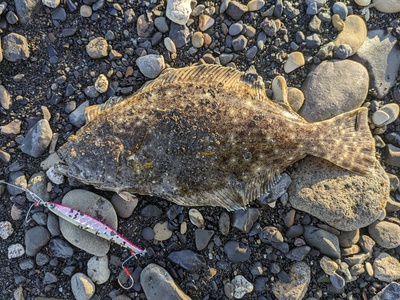 2024年初秋の釣り（道北日本海その2）