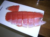 トラウトサーモン