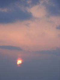 大寒だけど