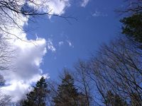野幌散歩