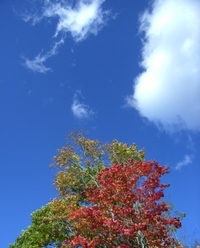 三階の滝
