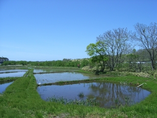田園風景