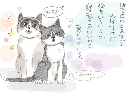 ねぼすけ猫