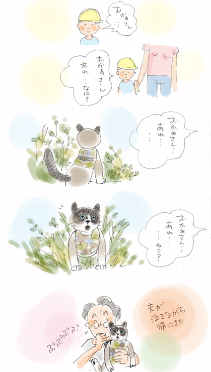 猫ですから。