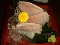 居酒屋:福福屋