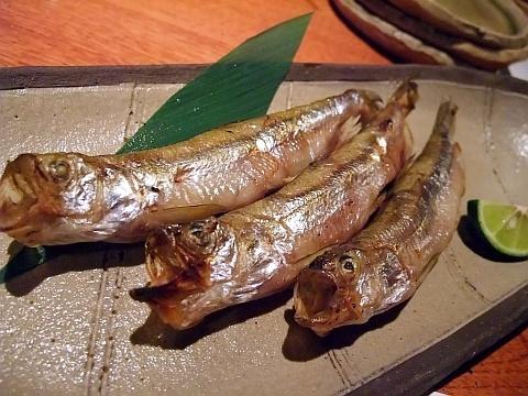 海鮮炉ばた 隠れ家 南興ビル店