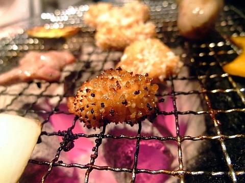 ホルモン中毒