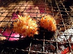 ホルモン中毒
