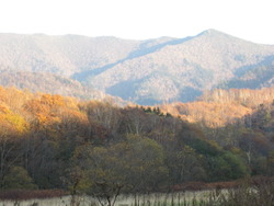 紅葉 それから、白鳥