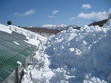 鶏舎はどこ?