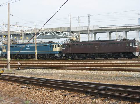 EF6557