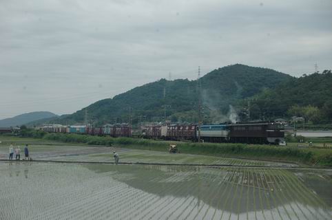 田植え　その２