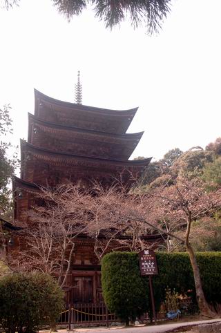 2009家族で山口旅行　その7　瑠璃光寺