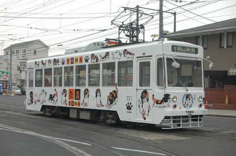 たま電車