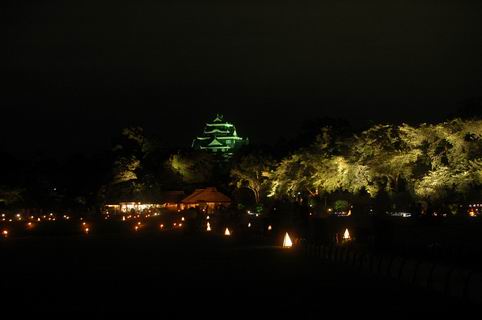 岡山後楽園夜間特別開園　幻想庭園　その１