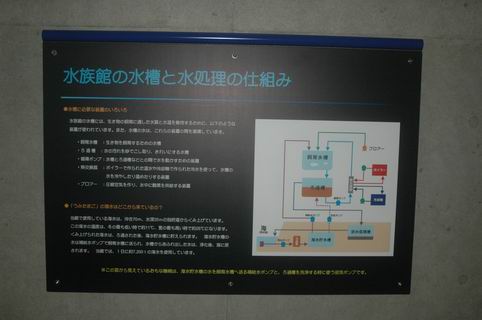 熊本大分家族旅行　その１３　うみたまご　５