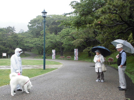 雨に煙る函館公園。