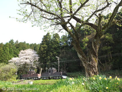 宮の森日記【出張編】●4/9（土）福井2日目