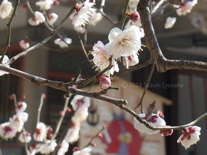 宮の森日記●帰りは大阪経由で