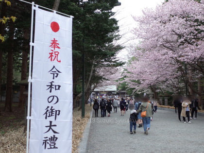 宮の森日記●令和最初の日