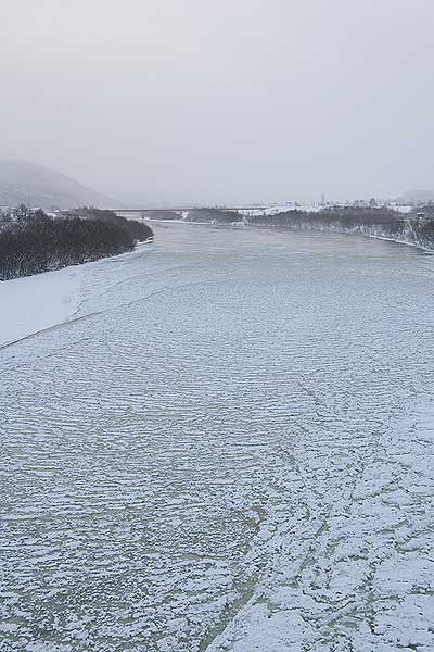 凍りそうな天塩川