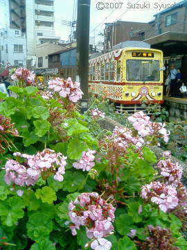 【内地より】都電荒川線の活性化施策(4)路面電車の日の風景